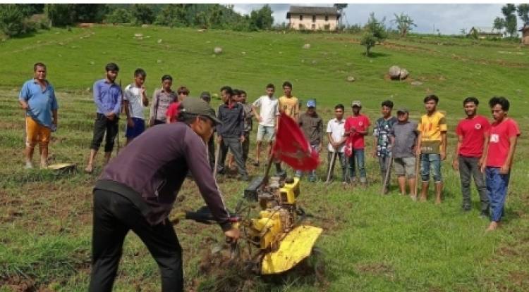 विवादित जग्गा नेकपा रोल्पाद्धारा उपयोगमा, ५० रोपनी जग्गामा उत्पादन गरिने