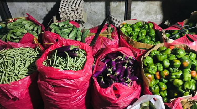 ढल्कदो उमेरसँगै खानपिनमा कसरी ध्यान दिने ?